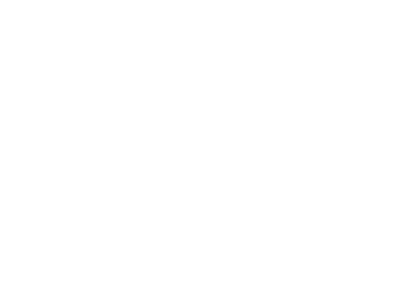 Trim, ironing and packaging-clothing manufacturer